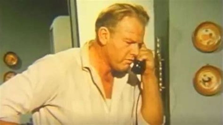 Alan Hale Jr. Highlights | Famous Birthdays