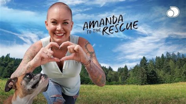 Amanda To The Rescue - Cast, Ages, Trivia