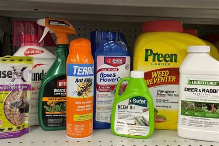 Are indoor pesticides safe for pets?