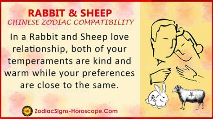Are rabbit and sheep compatible?
