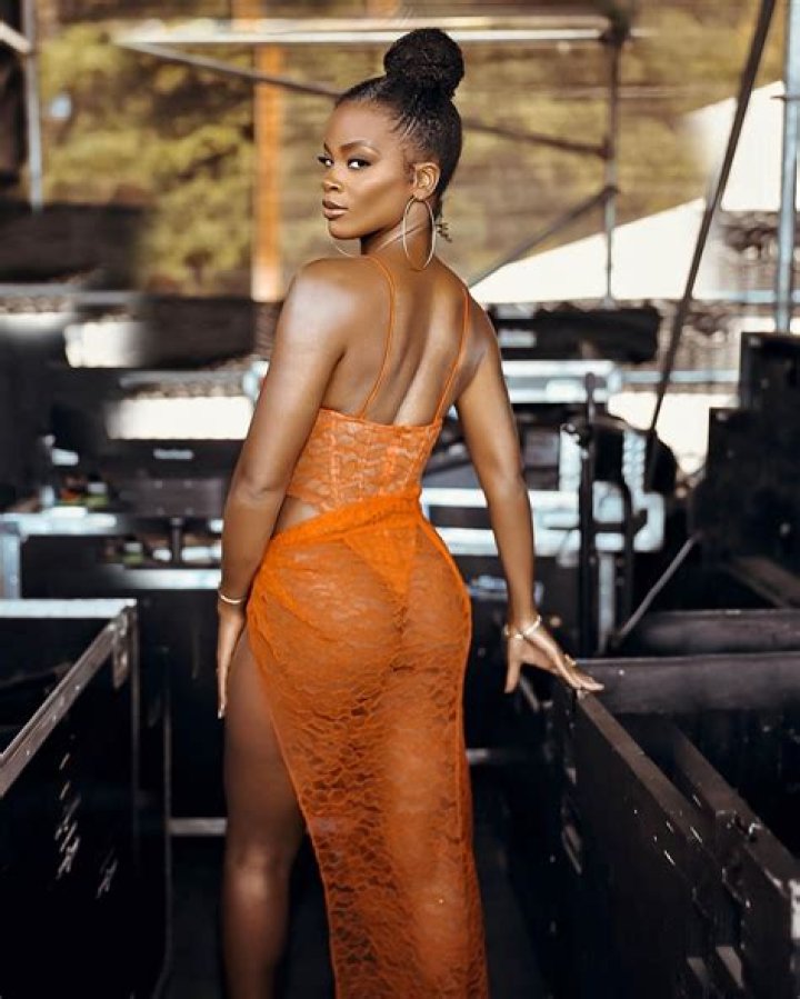 Ari Lennox Bio (Wiki) 