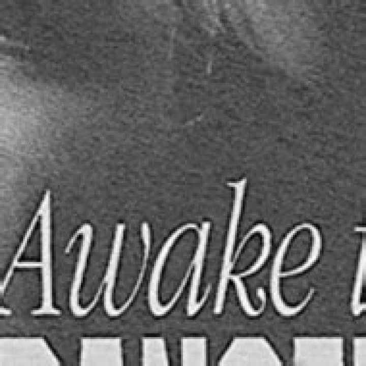 Awake to Murder - Cast, Ages, Trivia