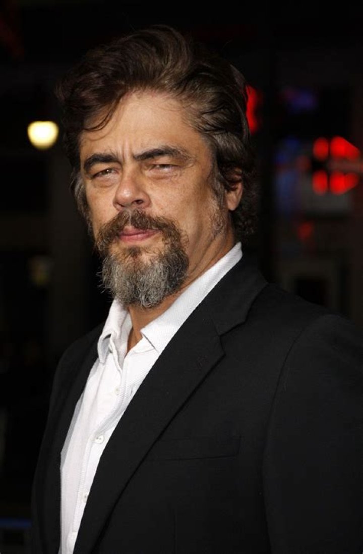 Benicio del Toro Bio (Wiki) 