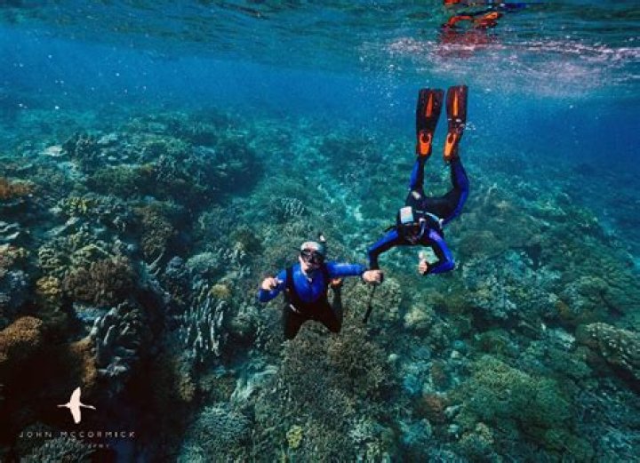 24 Best Places to Go Snorkeling in the World