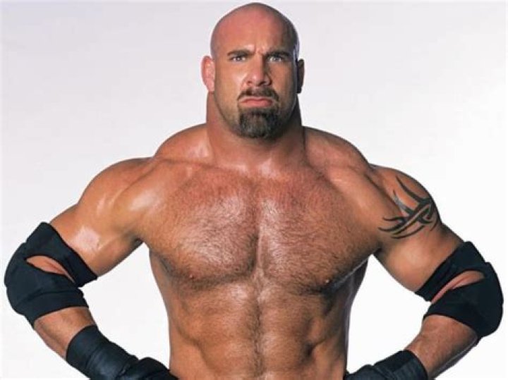 Bill Goldberg Net Worth - Wiki, Age, Weight and Height, Relationships, Family, and More