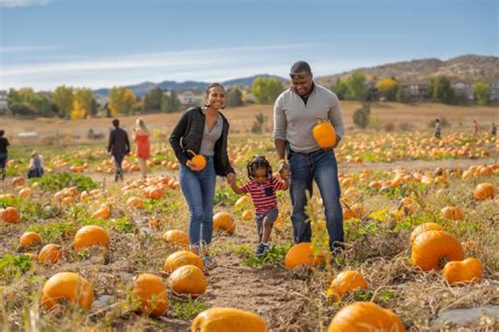 Billy Bob Thornton takes his daughter to the pumpkin patch