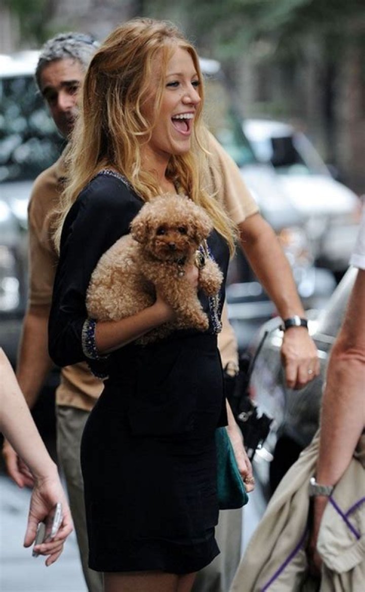 Blake Lively Pets - Celebrity Pets