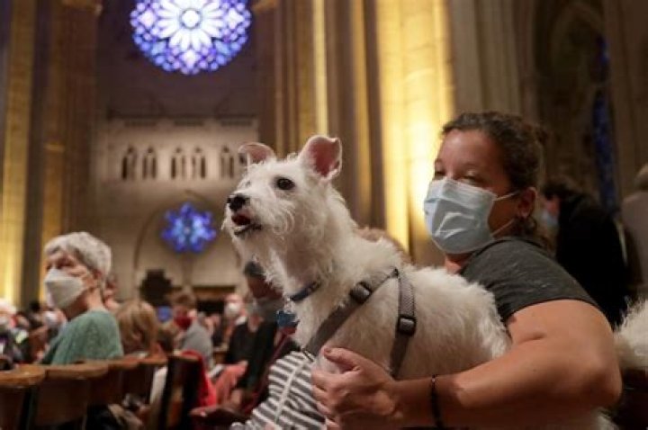 “Blessing of The Animals” celebration returns to New York City church