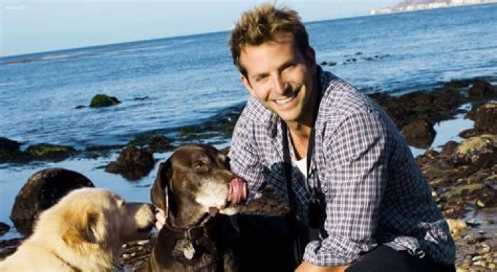 Bradley Cooper Pets - Celebrity Pets