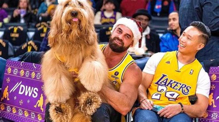 Brodie the Goldendoodle Stole the Show While Sitting Courtside at a L.A. Lakers Game