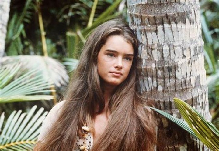 Brooke Shields Bio (Wiki) 