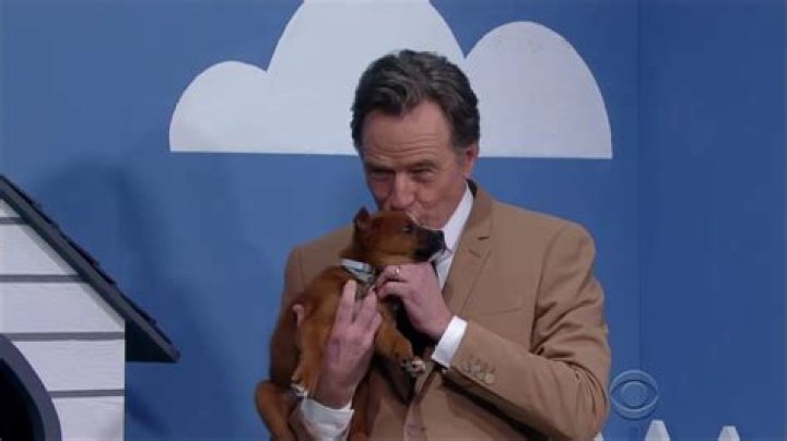 Bryan Cranston is a Liar (but only to get rescue dogs adopted)