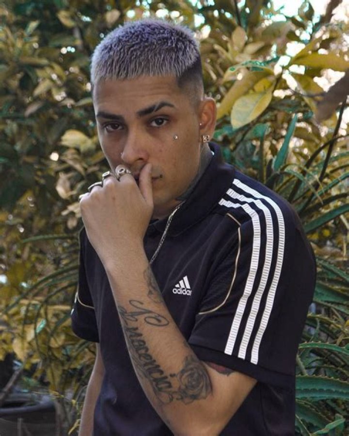 Callejero Fino - Age, Family, Bio