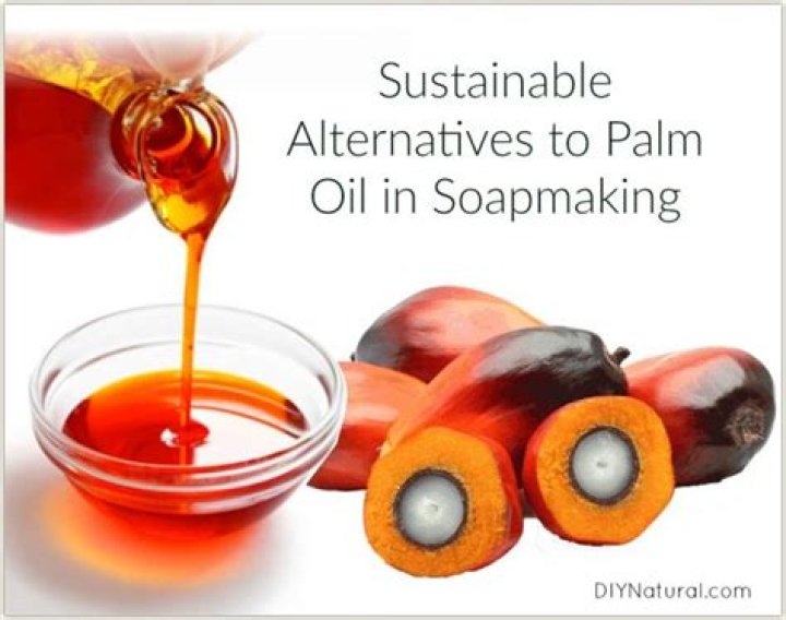 Can I substitute palm kernel oil for palm oil in soap making?
