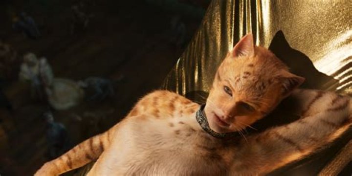 Cats (2019) (Movie) - Cast, Ages, Trivia