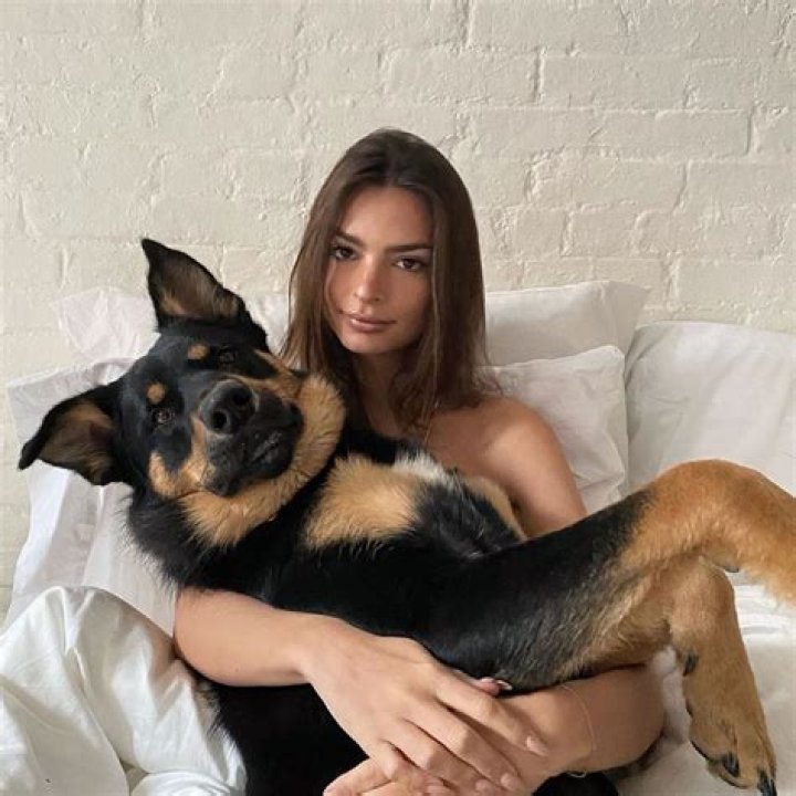 Celebrities Who Are In Love With Their Pets