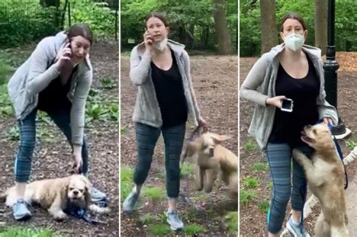 ‘Central Park Karen’ Amy Cooper got her dog back from the animal rescue