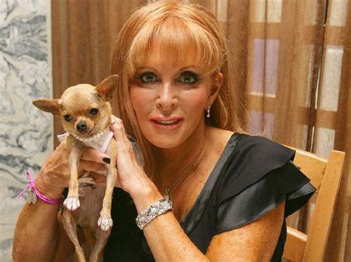 Conchita, a Chihuahua Dubbed The Queen of Miami, Inherits a $12.4 Million Fortune