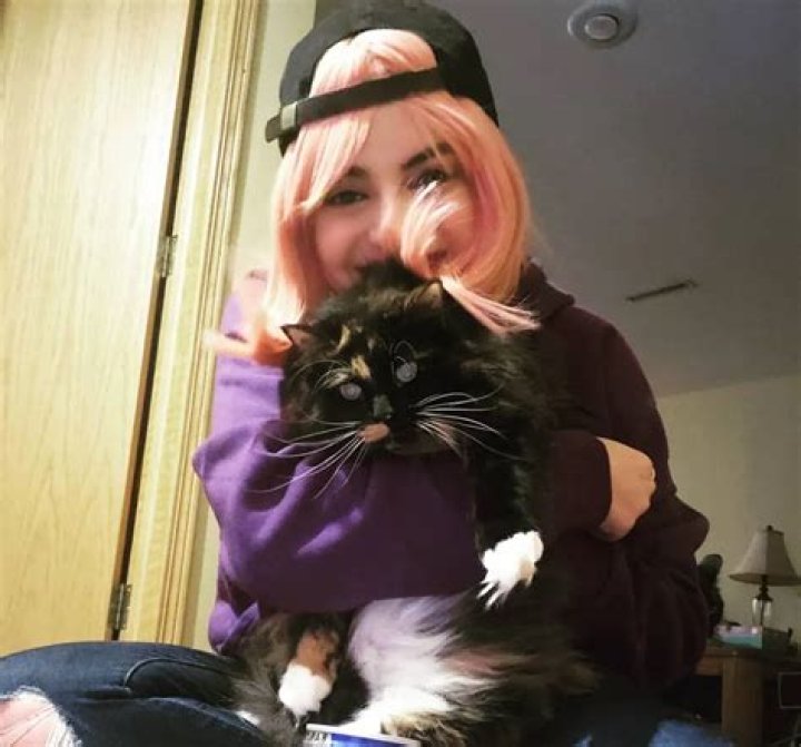 CypherDen Pets - Celebrity Pets