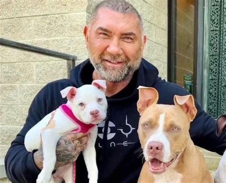 Dave Bautista Pets - Celebrity Pets