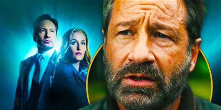 David Duchovny's thoughts on aliens after working on the X Files is devastating