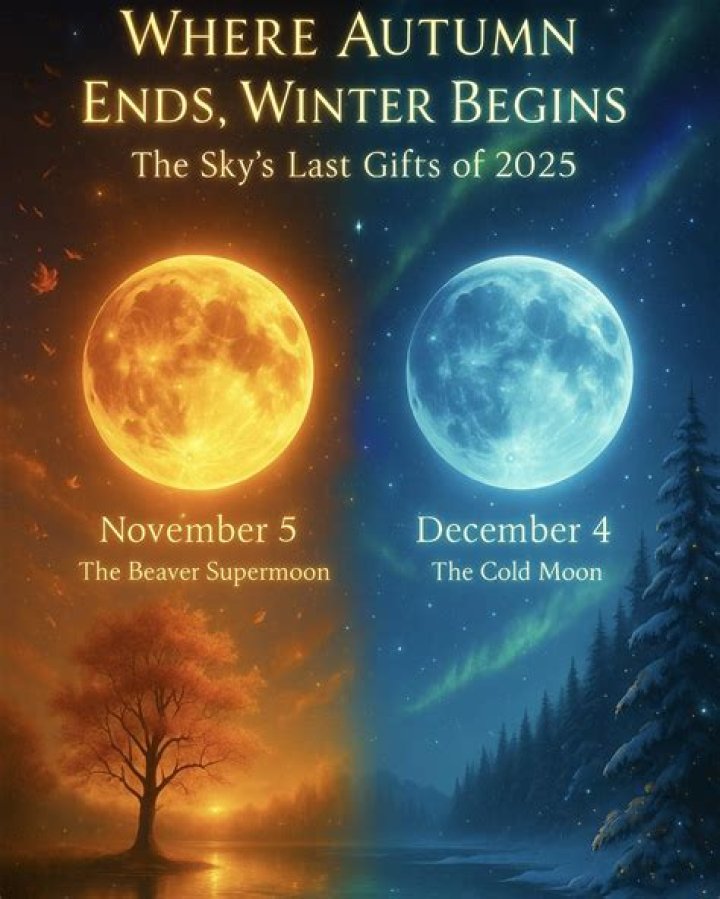 Authors Born December 4 | Famous Birthdays