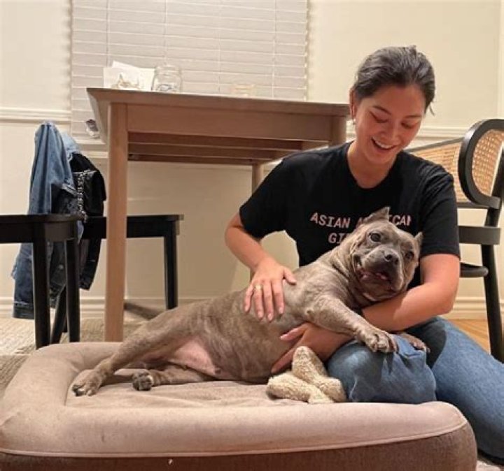 Dianne Doan Nationality: Is She Asian Or Canadian? Family And Religion