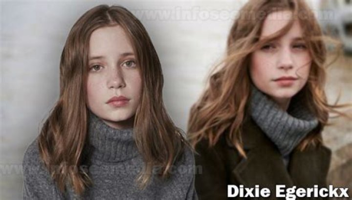 Dixie Egerickx Height, Weight, Net Worth, Age, Wiki, Who, Instagram, Biography