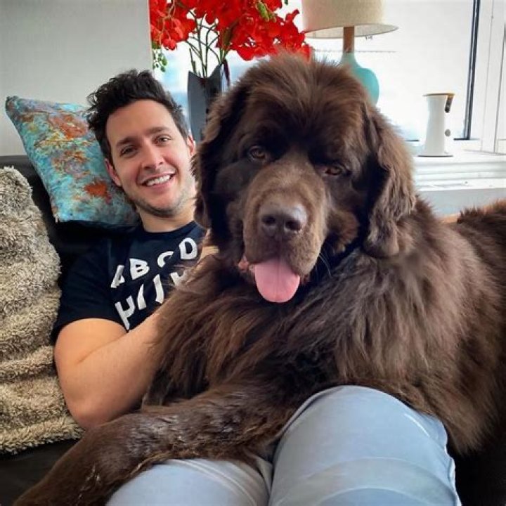 Doctor Mike Pets - Celebrity Pets