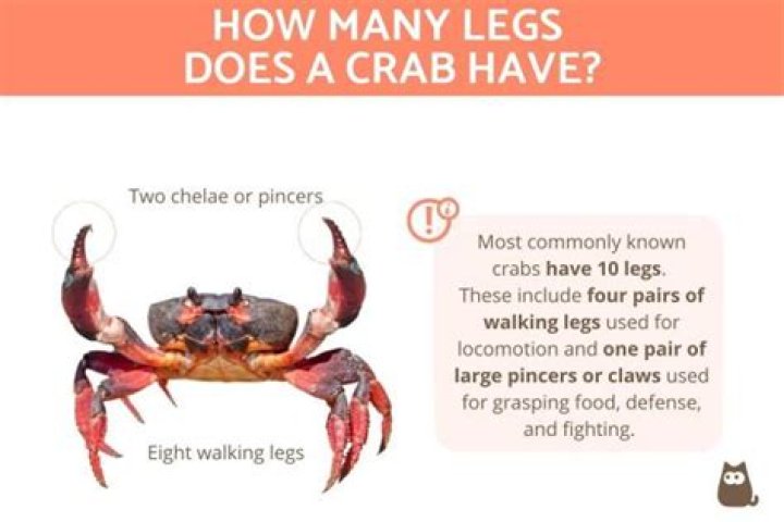 Does Captain D's have crab legs?