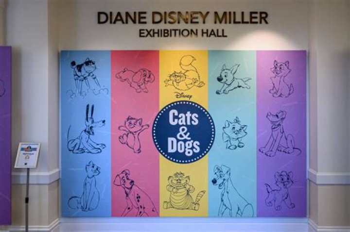 Interactive art has gone to the dogs (and cats!) at this live pet-only exhibition