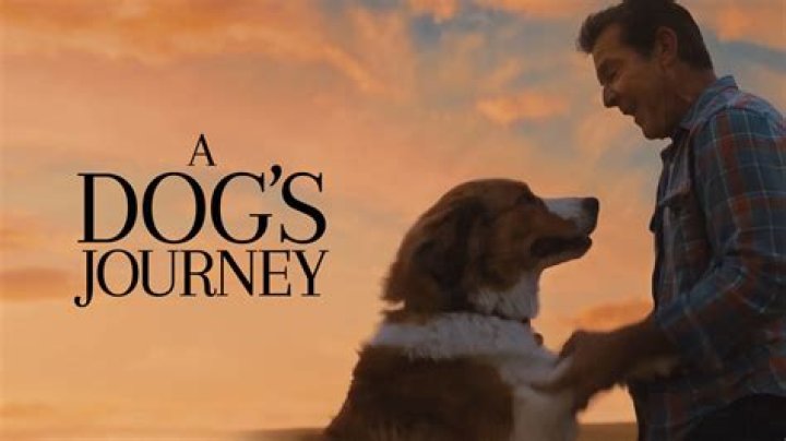 A Dog's Journey - Cast, Ages, Trivia
