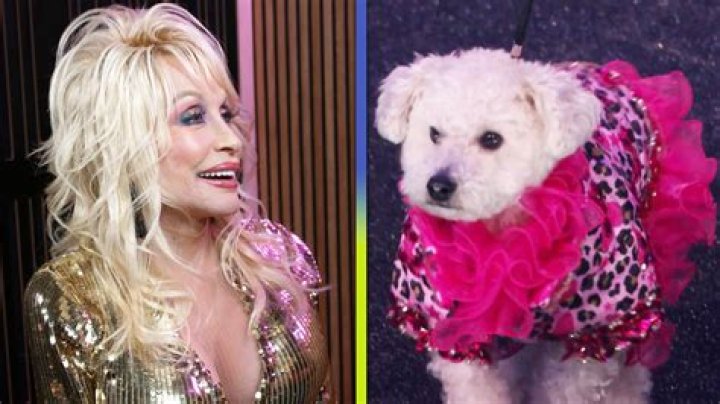 Dolly Parton Pets - Celebrity Pets