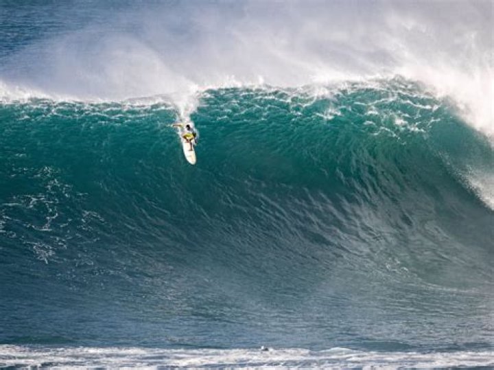 Eddie Aikau - Trivia, Family, Bio