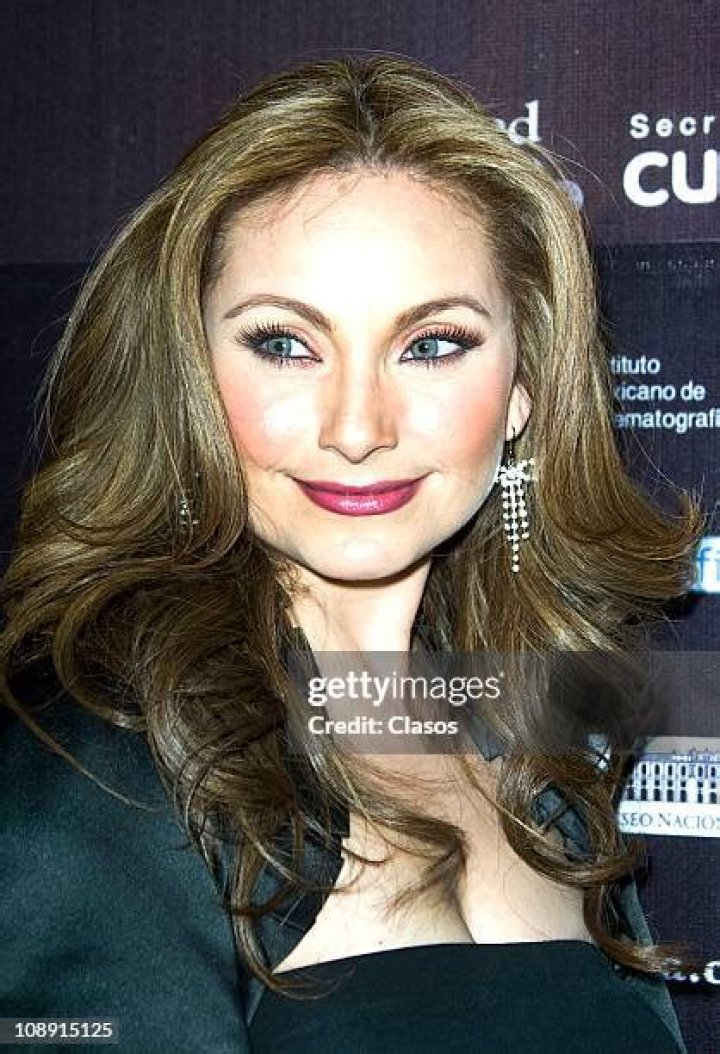 Elizabeth Álvarez - Age, Family, Bio