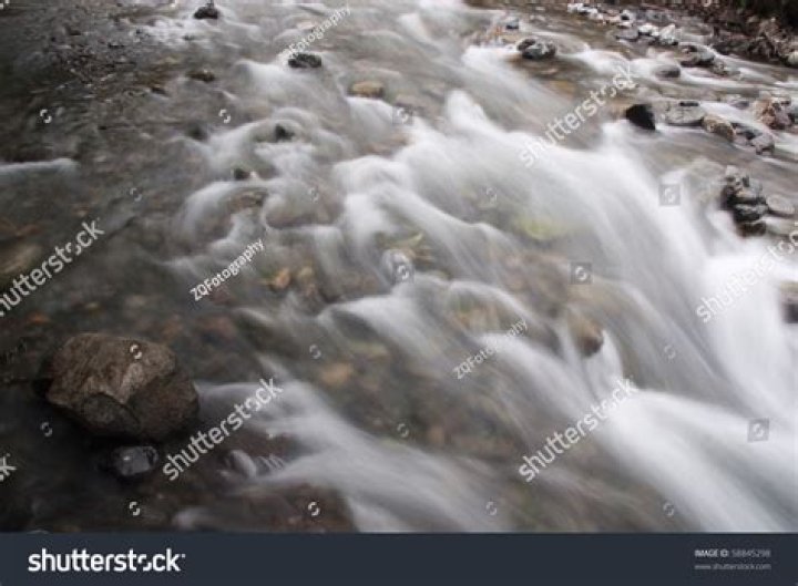 Flow 28 - Trivia, Family, Bio