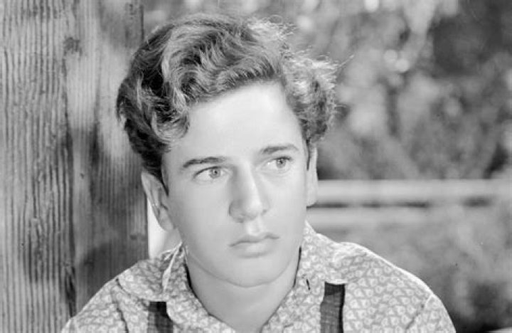 Gene Reynolds Net Worth - Wiki, Age, Weight and Height, Relationships, Family, and More