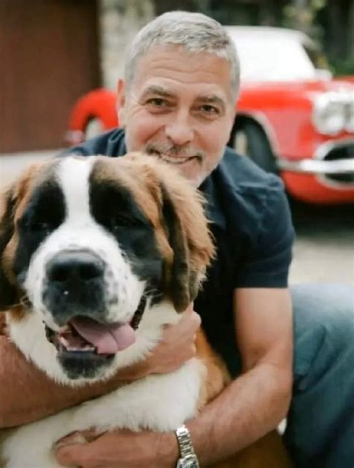 George Clooney Pets - Celebrity Pets
