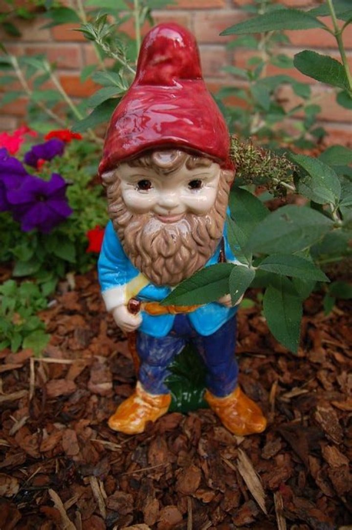 Gnome terrorizes South American town: The Sun is There