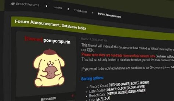 Hacker Pompompurin Arrested, Case Details Age And Wikipedia Biography