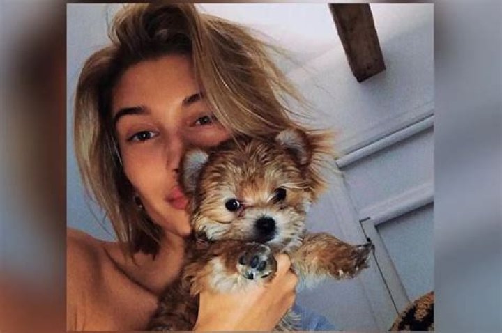 Hailey Baldwin Bieber Pets - Celebrity Pets