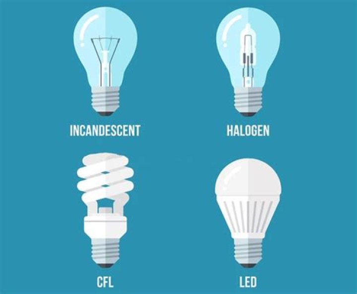 How does the light bulb help us?