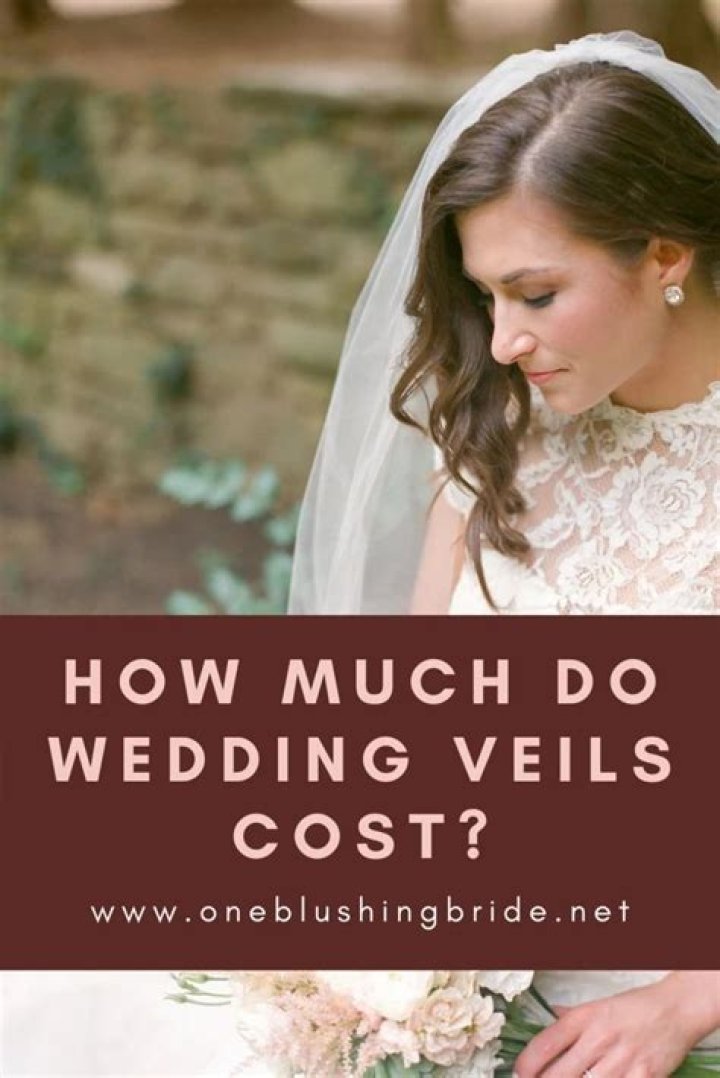 How much does a bridal veil cost?