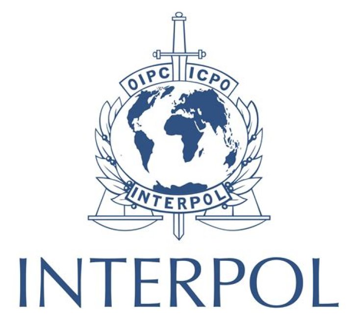 Interpol - Members, Ages, Trivia