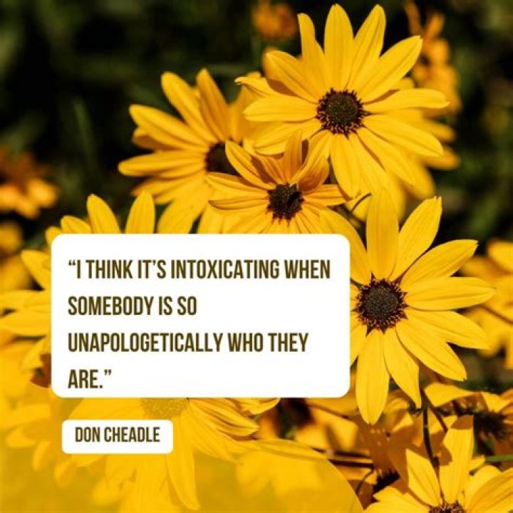 “I think it’s intoxicating when somebody is so unapologetically who they are.” War Machine – Don Cheadle. Explore about this great personality here!