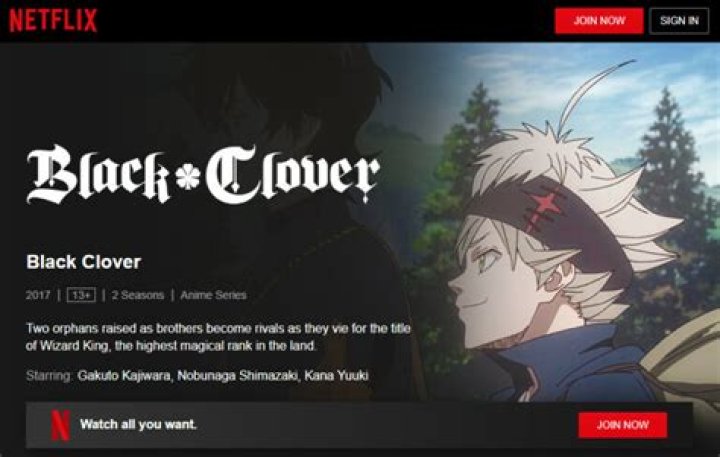 Is Black Clover on Netflix? Where to watch the anime series