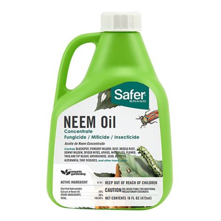 Is Neem oil safe for chickens?