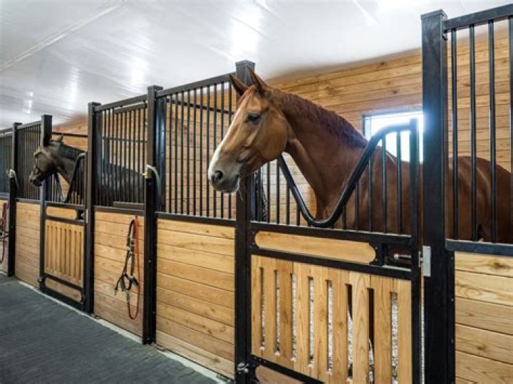 Is sand good for horse stalls?