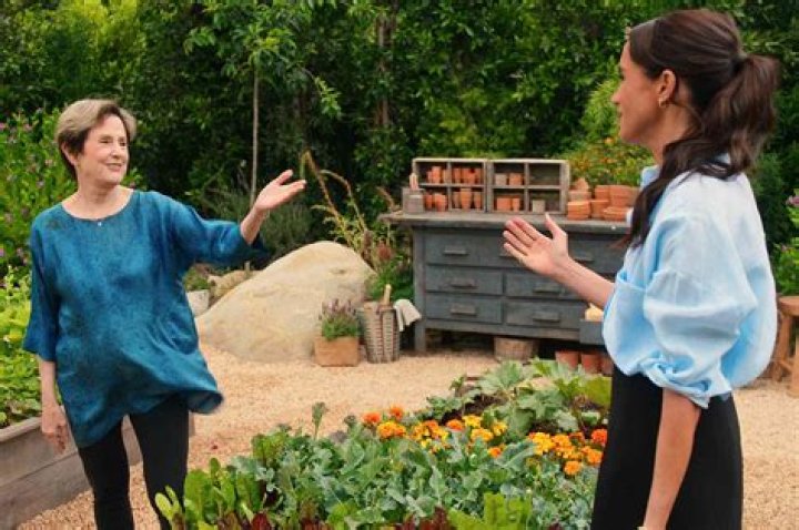 Is Suits starring Meghan Markle on Netflix? (where to stream Suits)