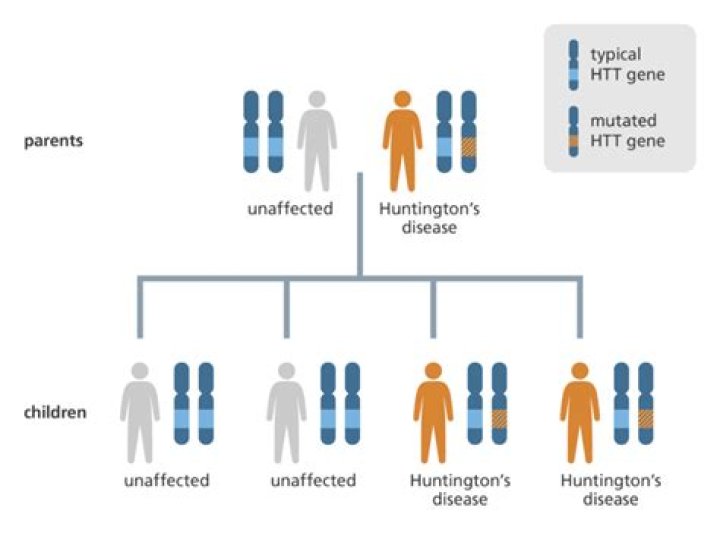 Is Sydenham’s chorea hereditary?